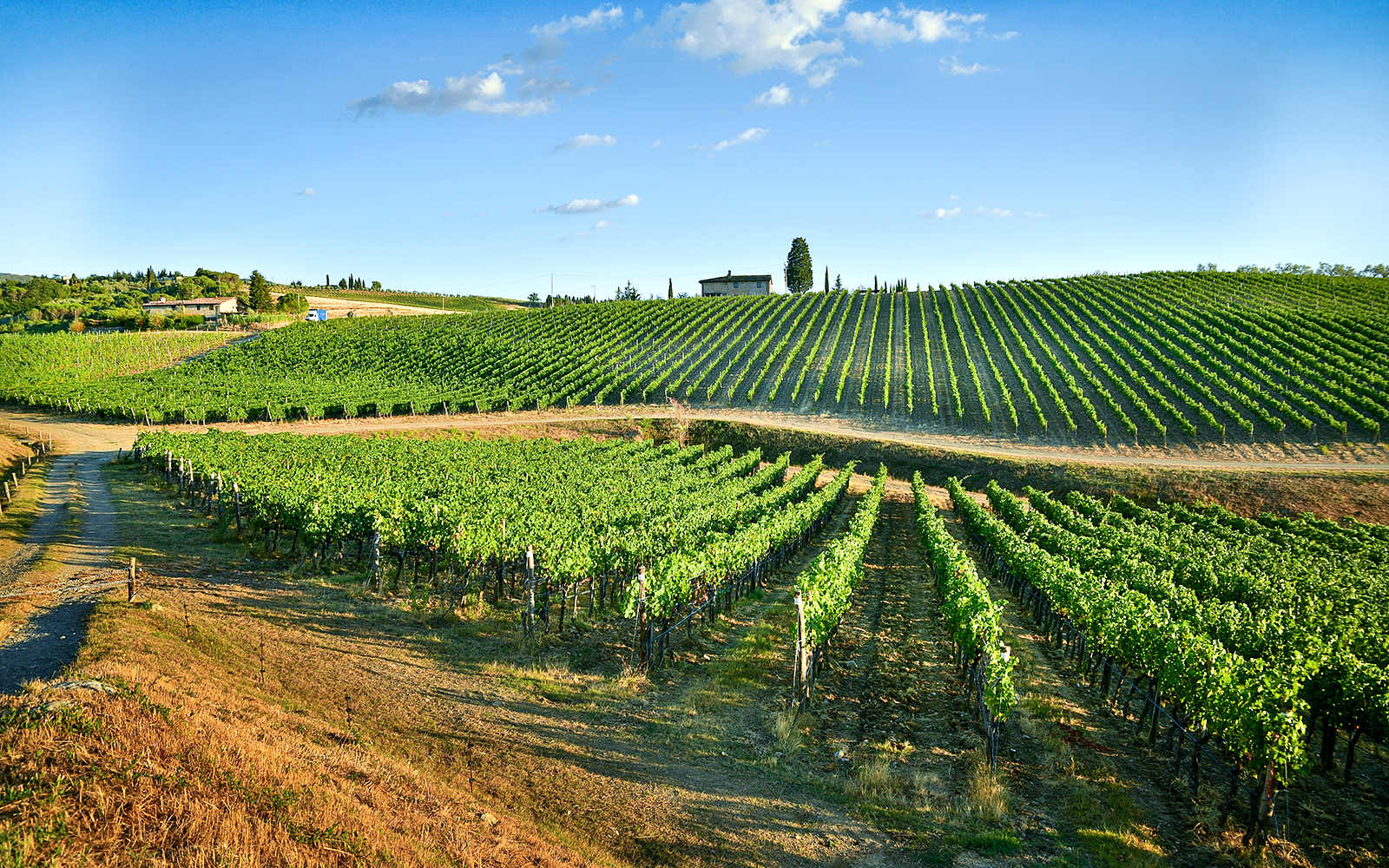 Chianti vineyards and rolling hills