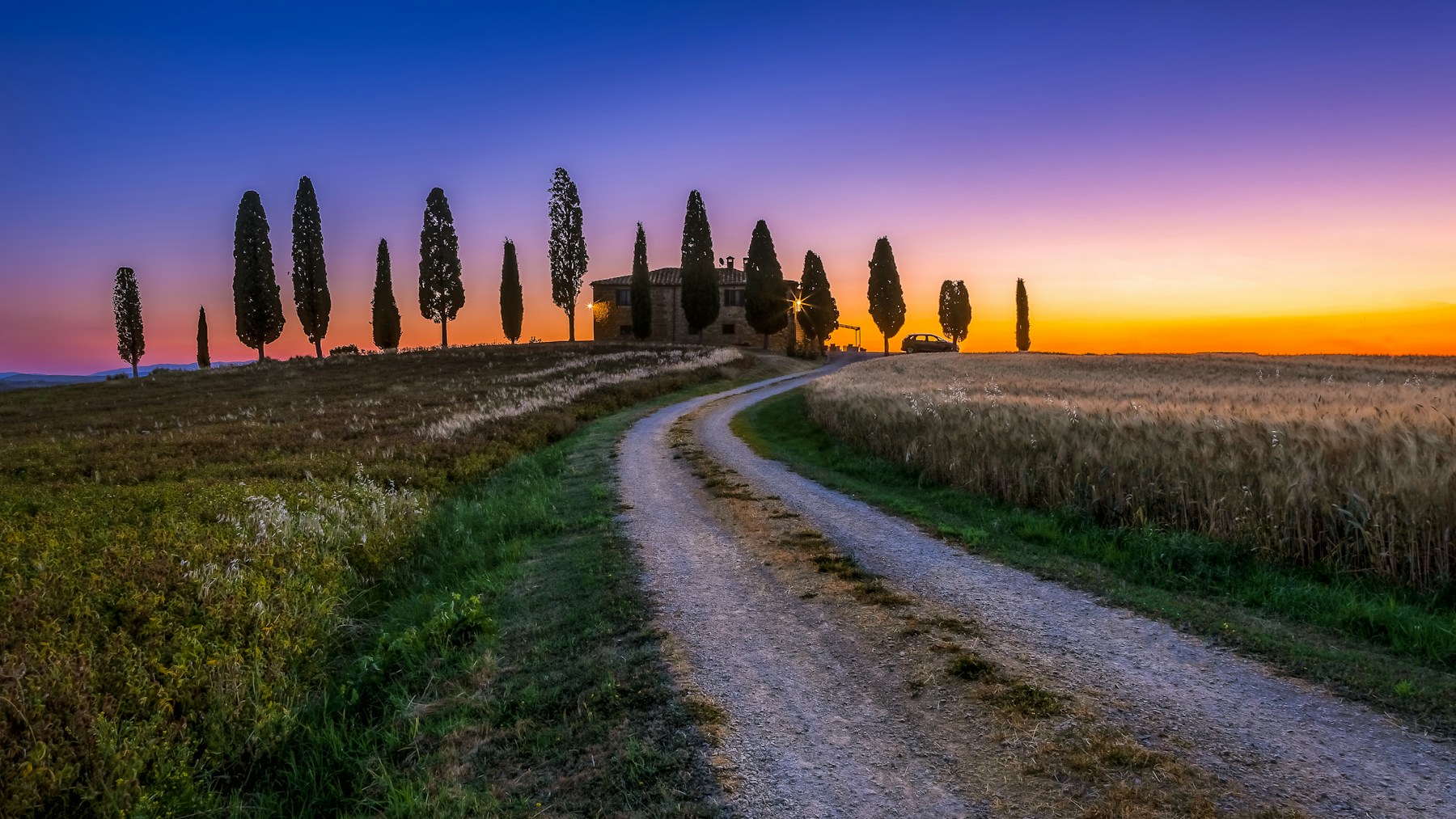 Cypress-lined path in Val d'Orcia